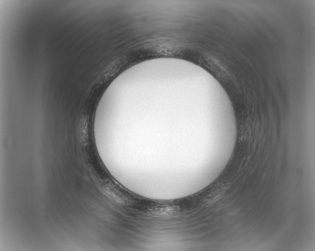 X0000074310646200609230002