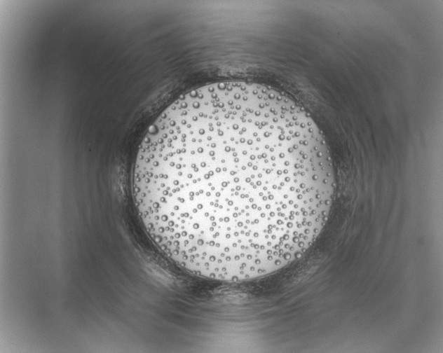 X0000074310648200609230002