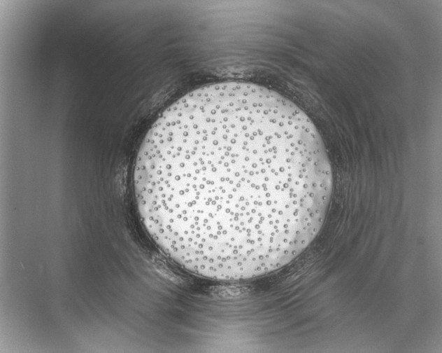 X0000074310652200609230002