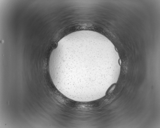 X0000074310657200609230002