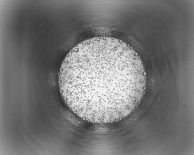 X0000074310658200609230002