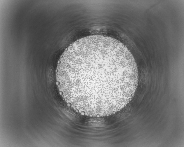 X0000074310659200609230002