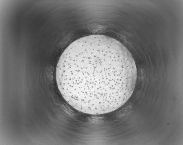 X0000074310664200609230002