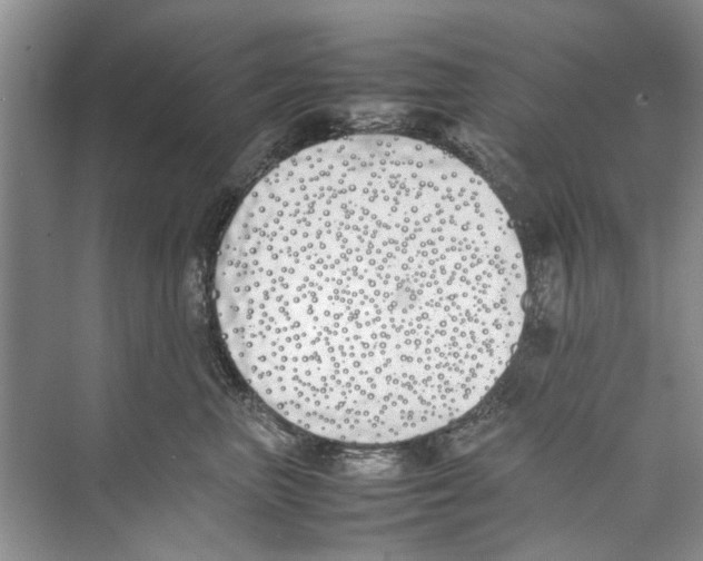 X0000074310667200609230002