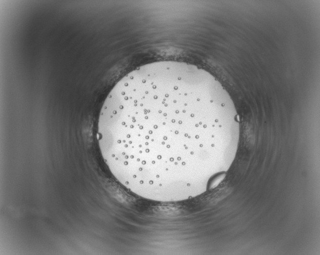 X0000074310668200609230002