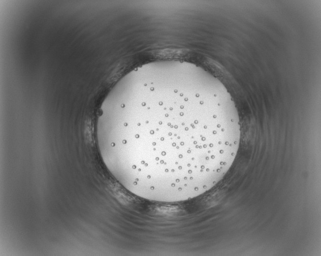 X0000074310669200609230002