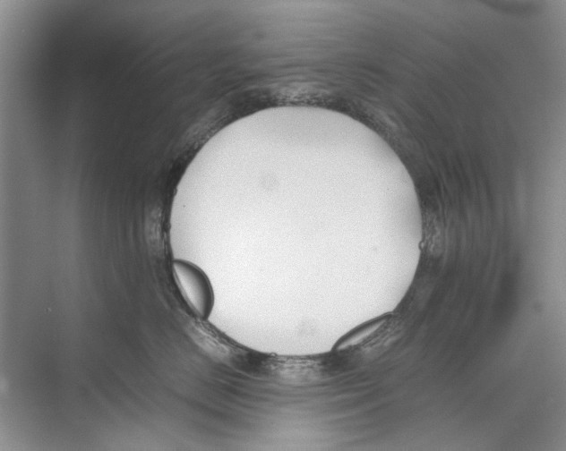 X0000074310670200609230002