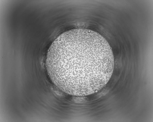 X0000074310671200609230002