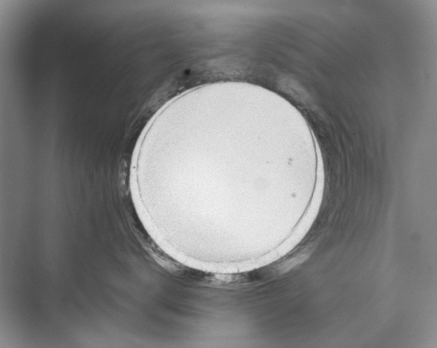 X0000074310672200609230002