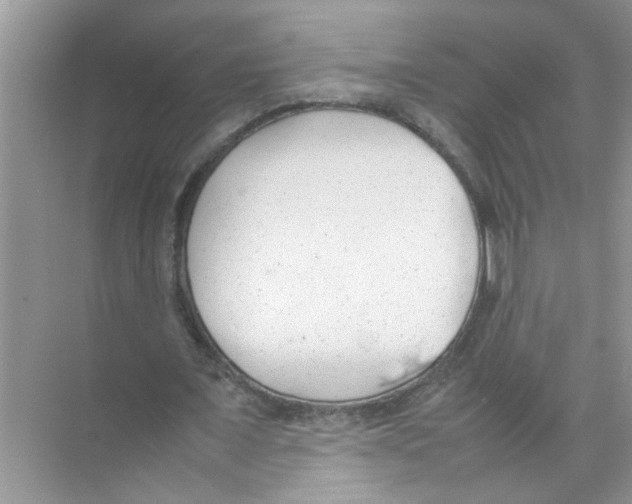 X0000074310675200609230001