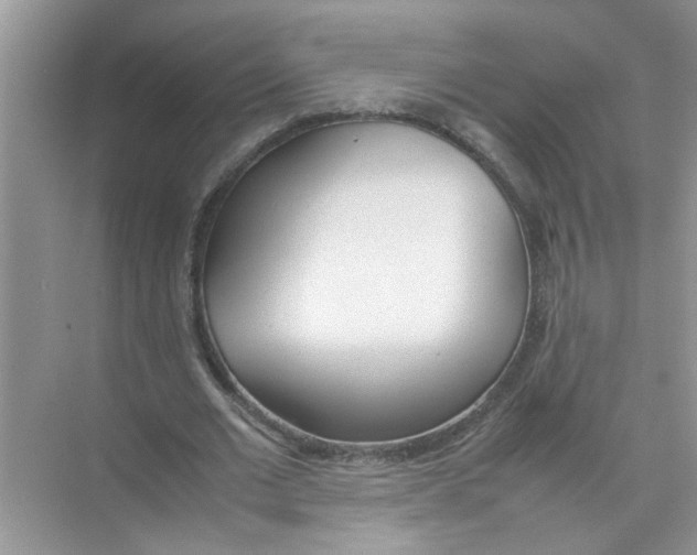 X0000074310677200609230001