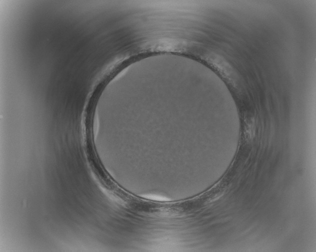 X0000074310678200609230001