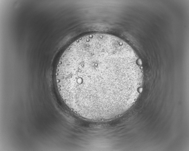 X0000074310679200609230001