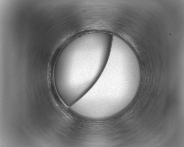 X0000074310680200609230001