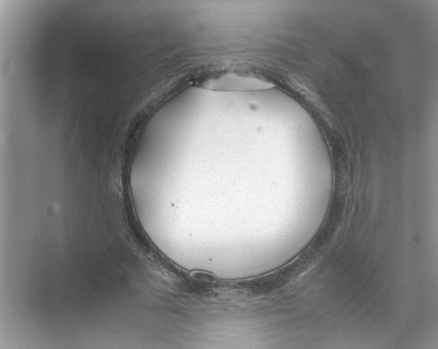 X0000074310681200609230001