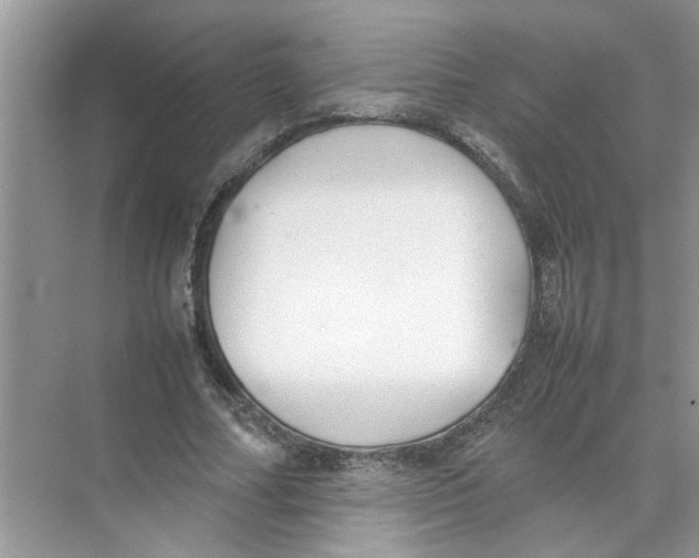 X0000074310682200609230001