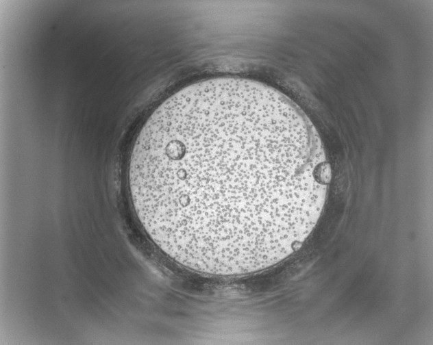 X0000074310683200609230001