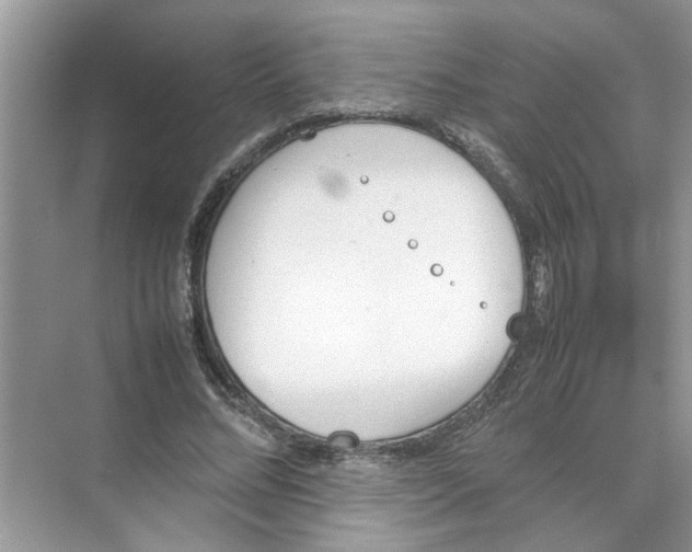 X0000074310684200609230001