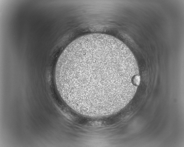 X0000074310687200609230001