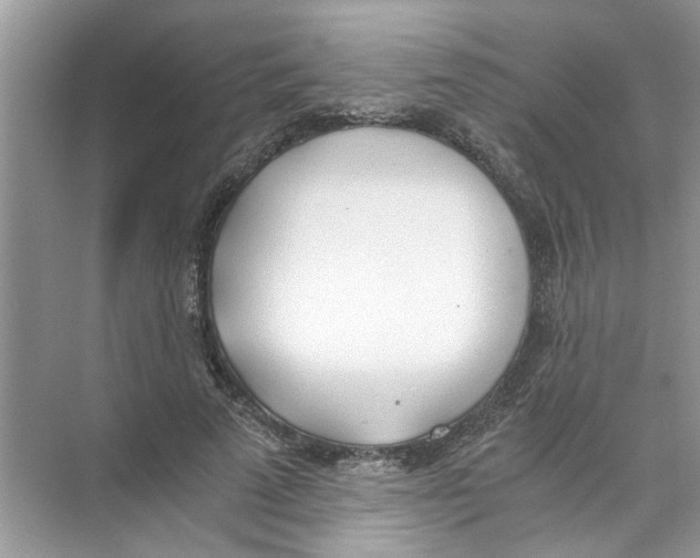 X0000074310689200609230001