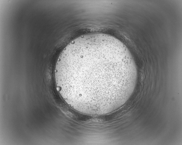 X0000074310691200609230001