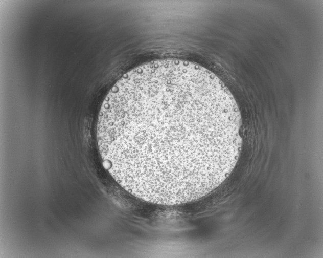 X0000074310695200609230001