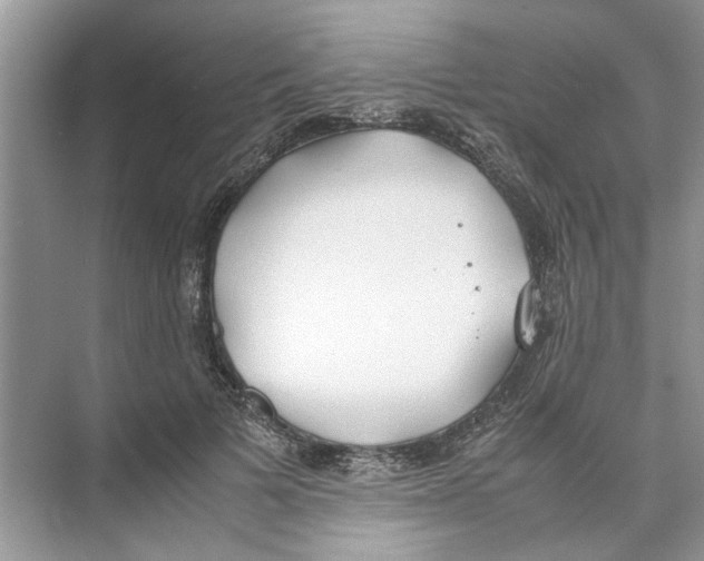 X0000074310697200609230001