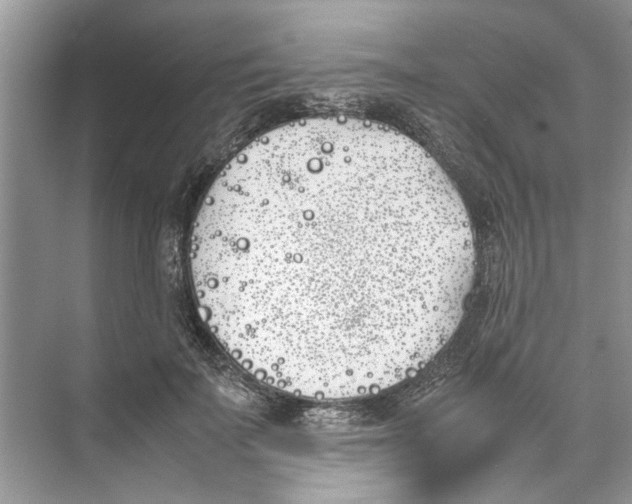 X0000074310699200609230001