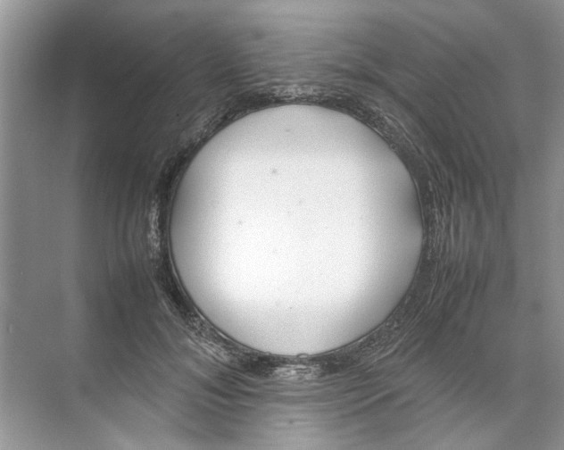 X0000074310700200609230001