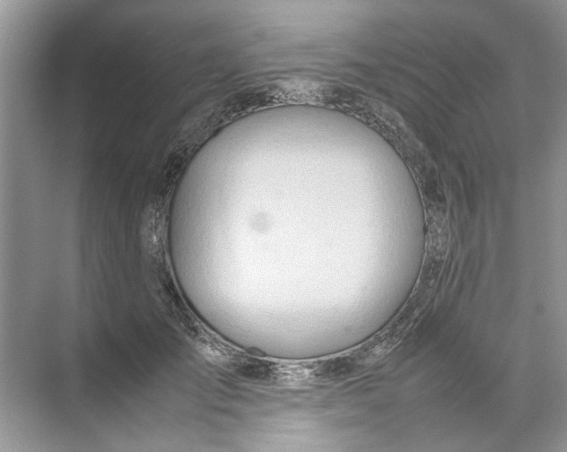 X0000074310701200609230001