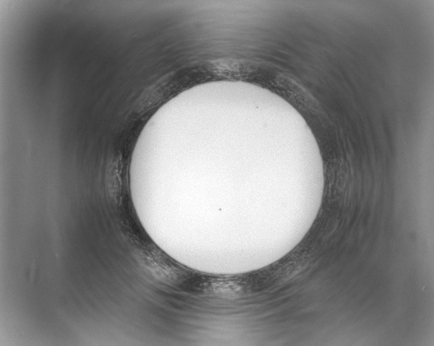 X0000074310702200609230001