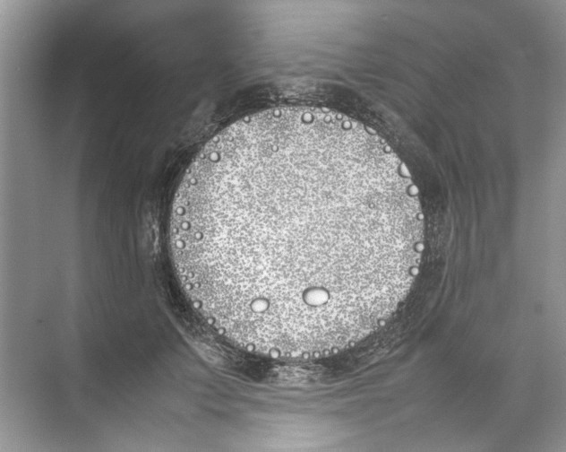 X0000074310703200609230001