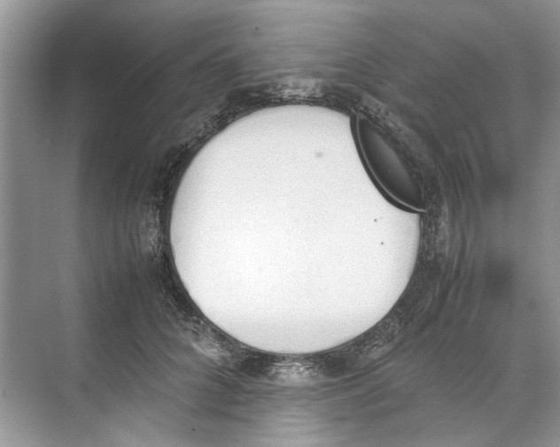 X0000074310704200609230001