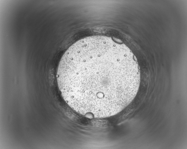 X0000074310707200609230001