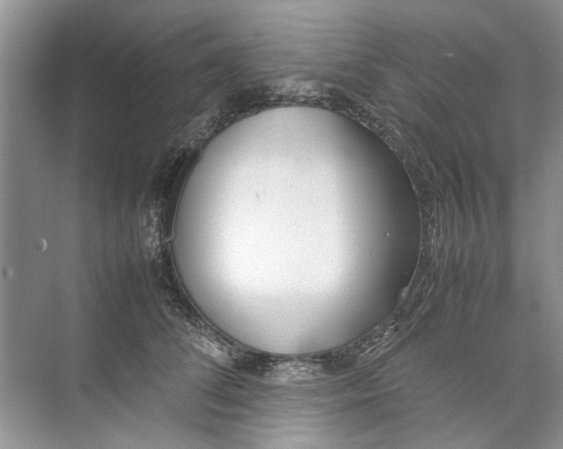 X0000074310708200609230001