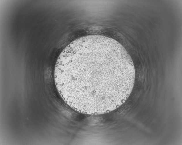 X0000074310711200609230001