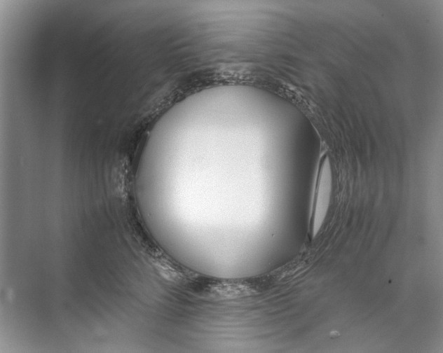 X0000074310712200609230001