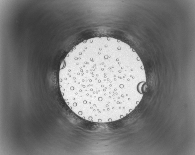 X0000074310715200609230001