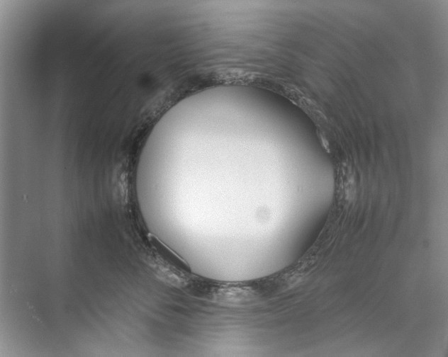 X0000074310716200609230001