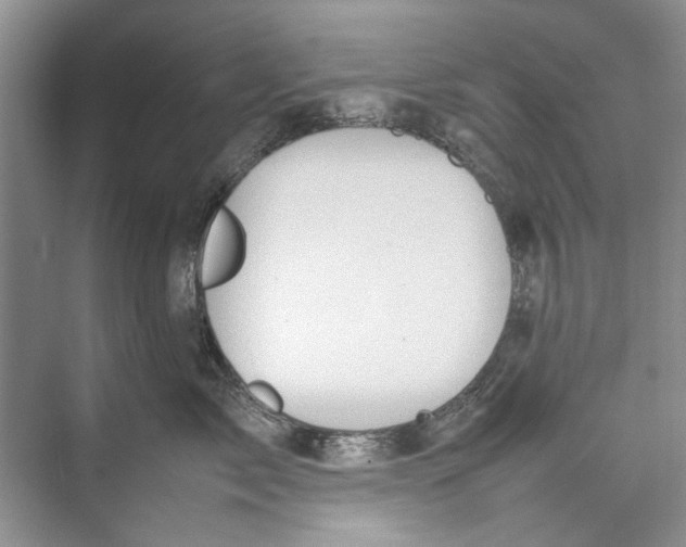 X0000074310717200609230001