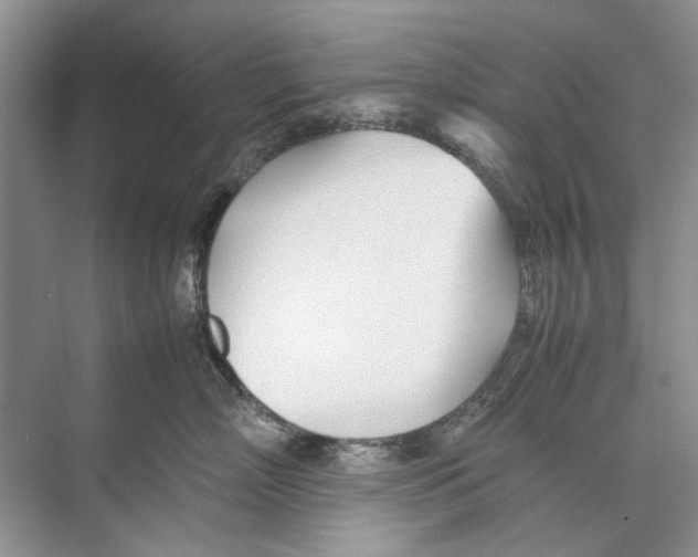 X0000074310718200609230000