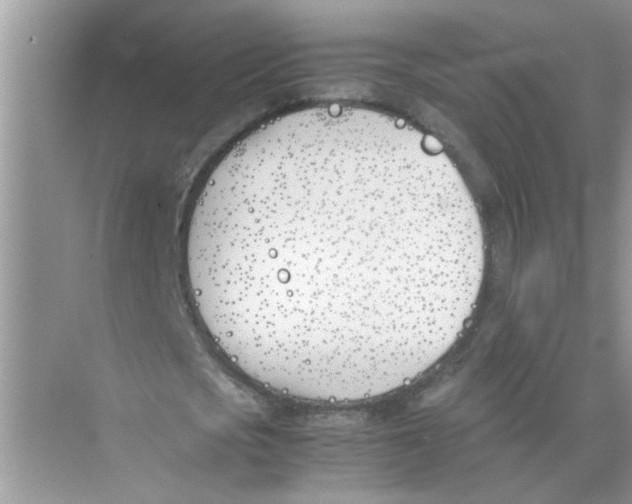 X0000074310721200609230000