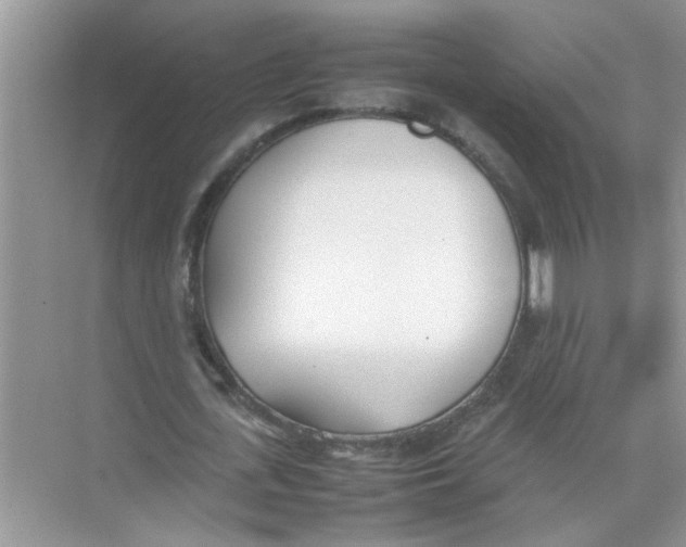 X0000074310723200609230000