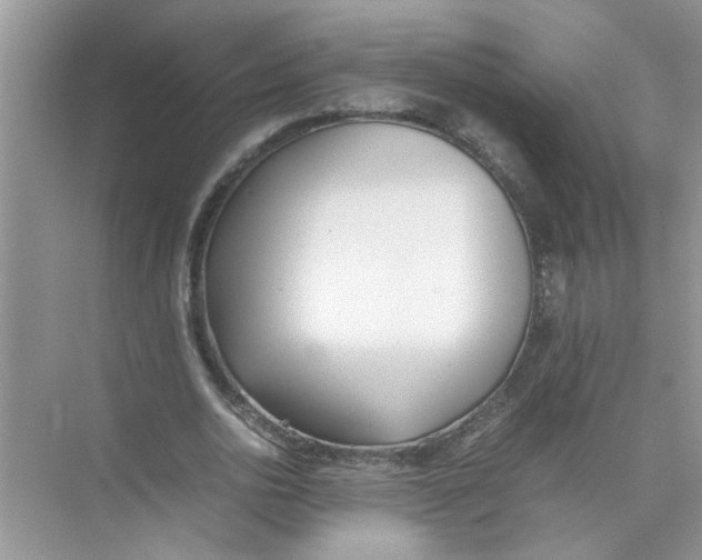 X0000074310726200609230000