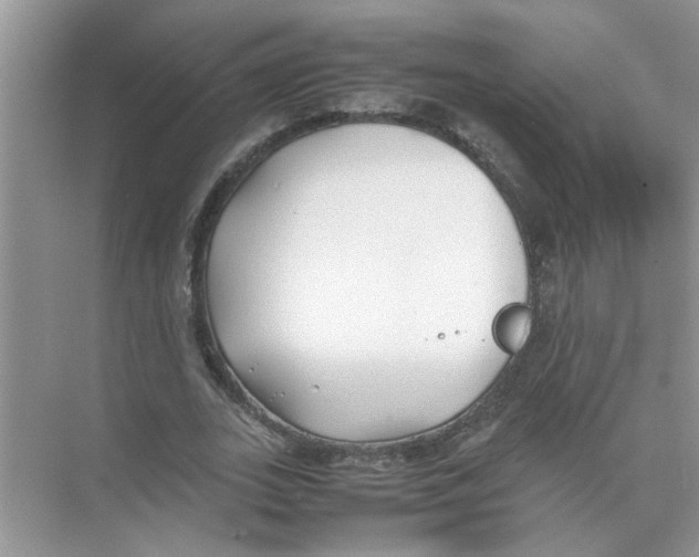 X0000074310727200609230000