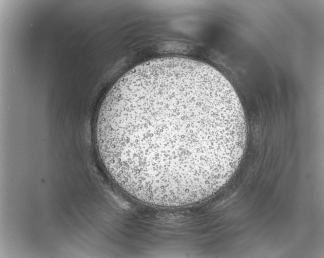 X0000074310729200609230000