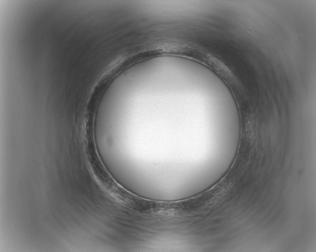 X0000074310730200609230000