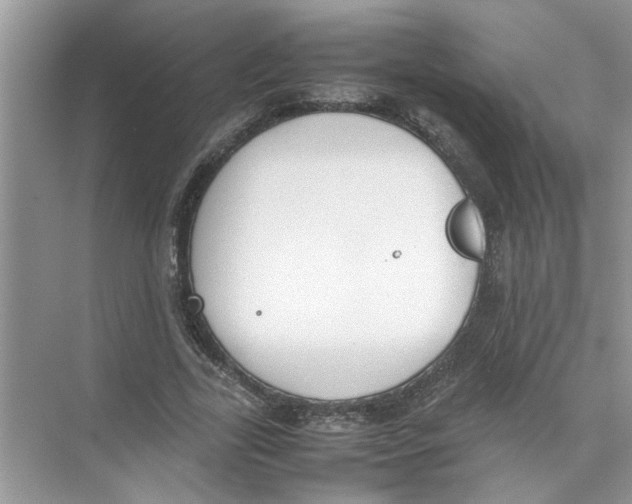 X0000074310731200609230000