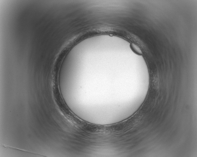 X0000074310732200609230000