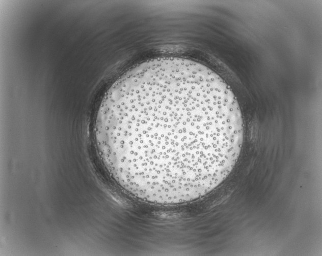 X0000074310733200609230000